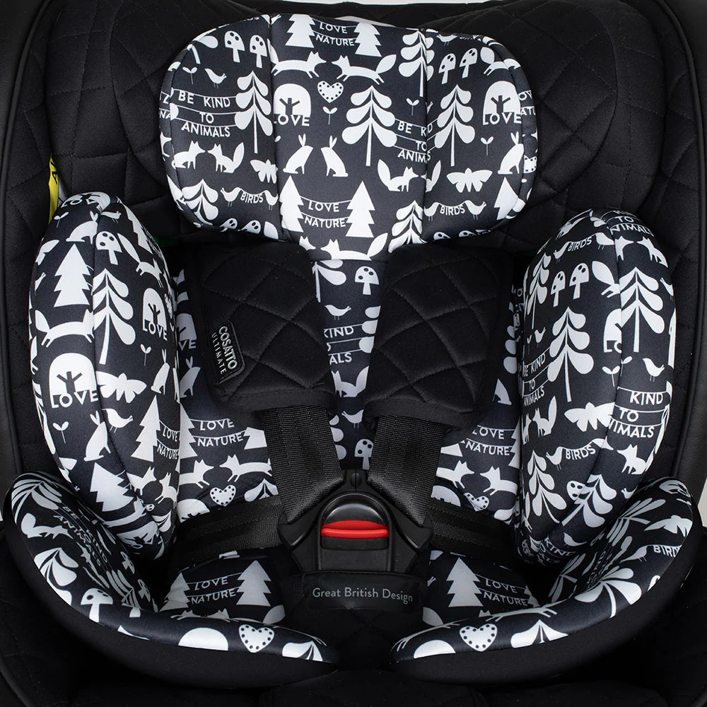 Cosatto All in All Extra i-Size 360 Car Seat-Silhouette